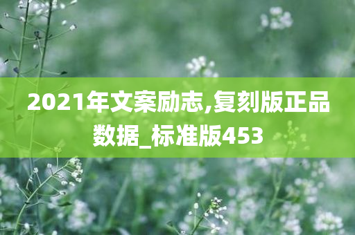 2021年文案励志,复刻版正品数据_标准版453