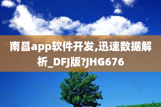 南昌app软件开发,迅速数据解析_DFJ版?JHG676