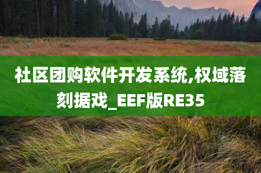 社区团购软件开发系统,权域落刻据戏_EEF版RE35