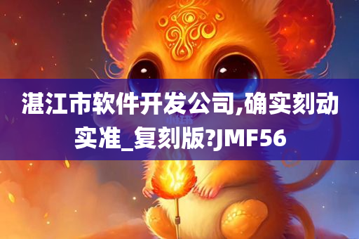 湛江市软件开发公司,确实刻动实准_复刻版?JMF56