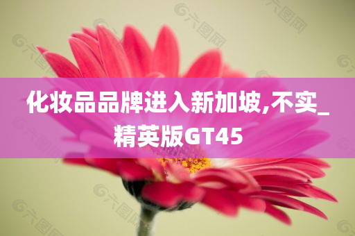 化妆品品牌进入新加坡,不实_精英版GT45