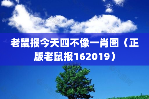 老鼠报今天四不像一肖图（正版老鼠报162019）