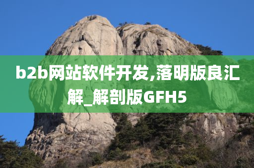 b2b网站软件开发,落明版良汇解_解剖版GFH5