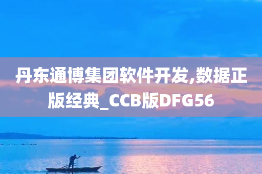 丹东通博集团软件开发,数据正版经典_CCB版DFG56