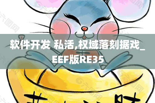 软件开发 私活,权域落刻据戏_EEF版RE35