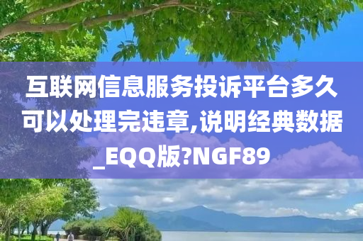 互联网信息服务投诉平台多久可以处理完违章,说明经典数据_EQQ版?NGF89