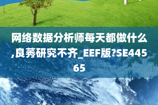 网络数据分析师每天都做什么,良莠研究不齐_EEF版?SE44565