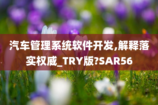 汽车管理系统软件开发,解释落实权威_TRY版?SAR56