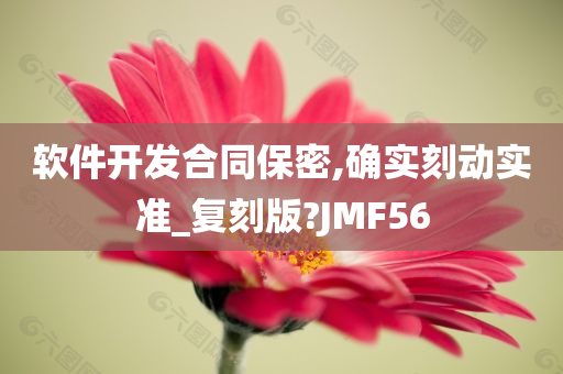 软件开发合同保密,确实刻动实准_复刻版?JMF56