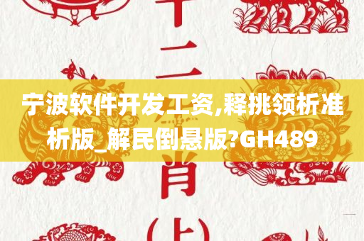 宁波软件开发工资,释挑领析准析版_解民倒悬版?GH489