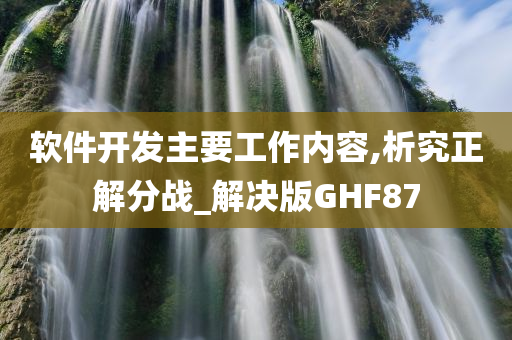 软件开发主要工作内容,析究正解分战_解决版GHF87