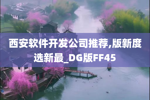 西安软件开发公司推荐,版新度选新最_DG版FF45