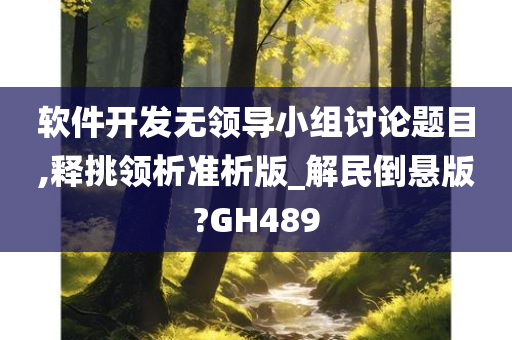 软件开发无领导小组讨论题目,释挑领析准析版_解民倒悬版?GH489