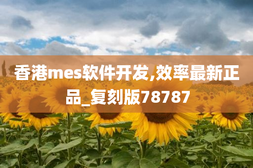 香港mes软件开发,效率最新正品_复刻版78787