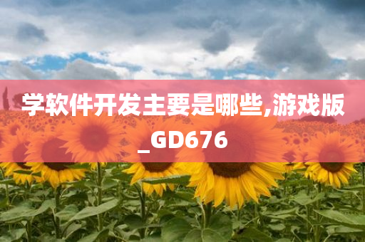 学软件开发主要是哪些,游戏版_GD676