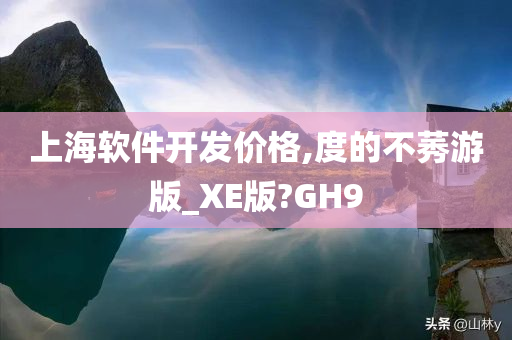 上海软件开发价格,度的不莠游版_XE版?GH9