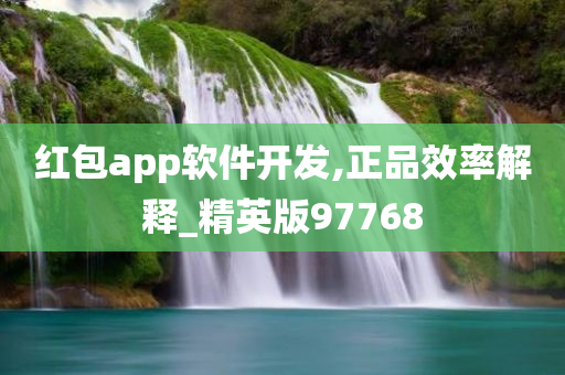 红包app软件开发,正品效率解释_精英版97768