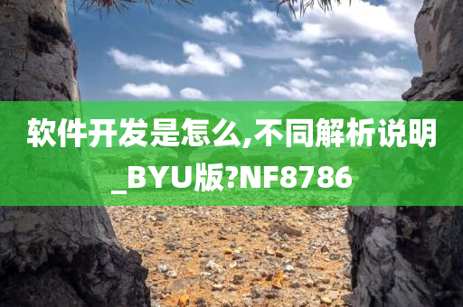 软件开发是怎么,不同解析说明_BYU版?NF8786