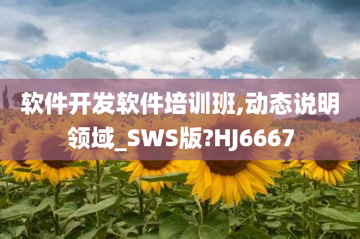 软件开发软件培训班,动态说明领域_SWS版?HJ6667