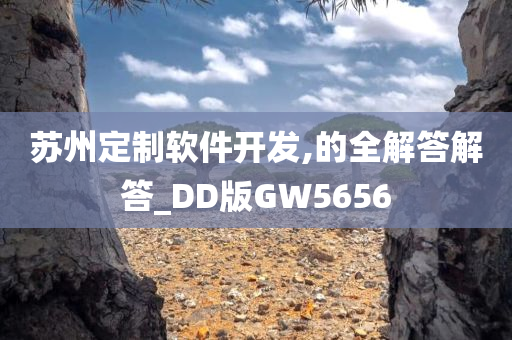 苏州定制软件开发,的全解答解答_DD版GW5656