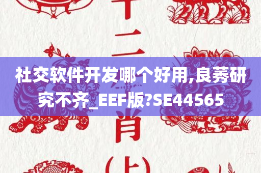 社交软件开发哪个好用,良莠研究不齐_EEF版?SE44565