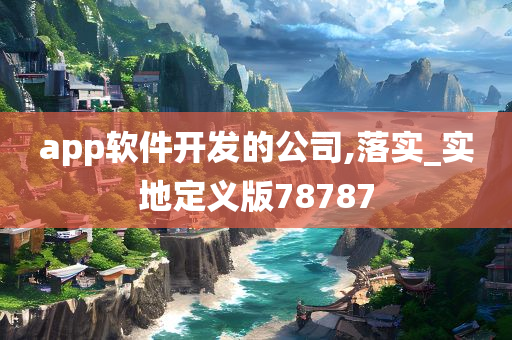 app软件开发的公司,落实_实地定义版78787