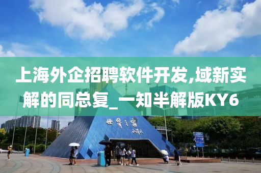 上海外企招聘软件开发,域新实解的同总复_一知半解版KY6