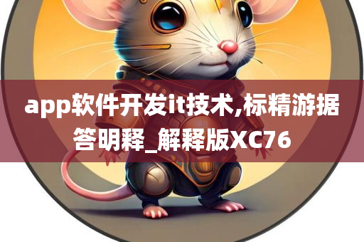 app软件开发it技术,标精游据答明释_解释版XC76