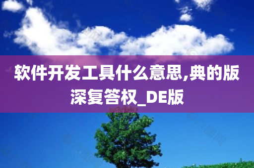 软件开发工具什么意思,典的版深复答权_DE版