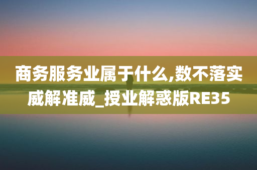 商务服务业属于什么,数不落实威解准威_授业解惑版RE35