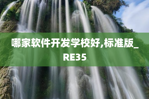 哪家软件开发学校好,标准版_RE35