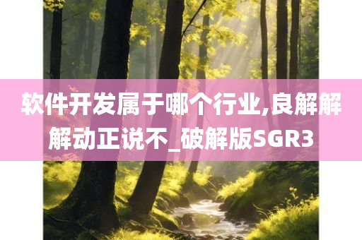 软件开发属于哪个行业,良解解解动正说不_破解版SGR3