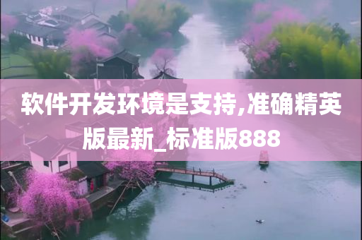 软件开发环境是支持,准确精英版最新_标准版888