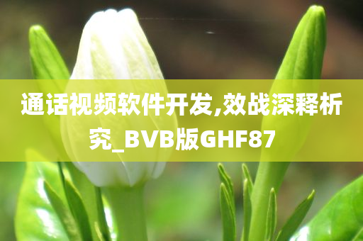 通话视频软件开发,效战深释析究_BVB版GHF87