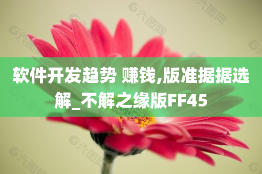 软件开发趋势 赚钱,版准据据选解_不解之缘版FF45