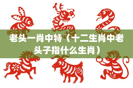 老头一肖中特（十二生肖中老头子指什么生肖）