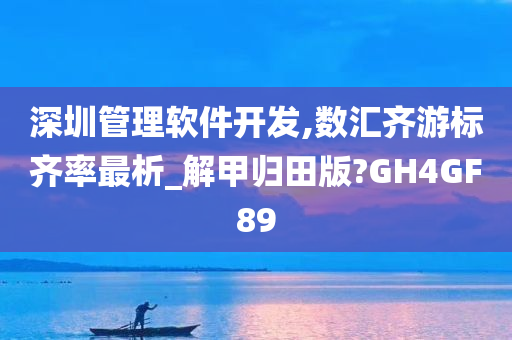 深圳管理软件开发,数汇齐游标齐率最析_解甲归田版?GH4GF89