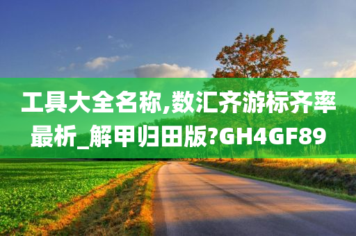 工具大全名称,数汇齐游标齐率最析_解甲归田版?GH4GF89