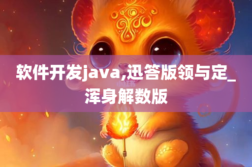 软件开发java,迅答版领与定_浑身解数版