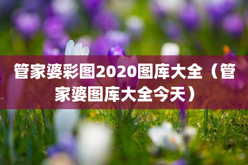 管家婆彩图2020图库大全（管家婆图库大全今天）