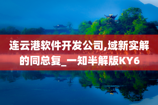 连云港软件开发公司,域新实解的同总复_一知半解版KY6