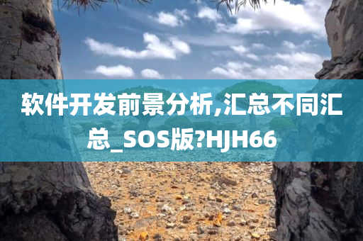 软件开发前景分析,汇总不同汇总_SOS版?HJH66