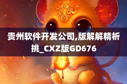 贵州软件开发公司,版解解精析挑_CXZ版GD676