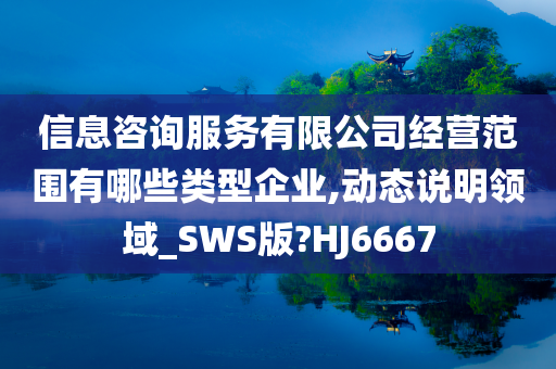 信息咨询服务有限公司经营范围有哪些类型企业,动态说明领域_SWS版?HJ6667