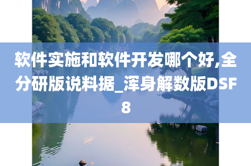 软件实施和软件开发哪个好,全分研版说料据_浑身解数版DSF8