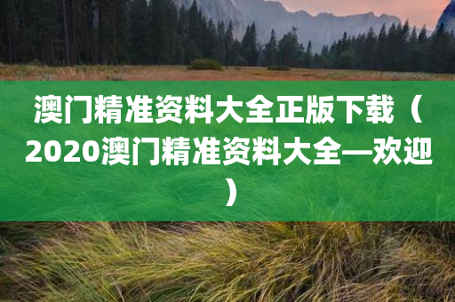 澳门精准资料大全正版下载（2020澳门精准资料大全—欢迎）