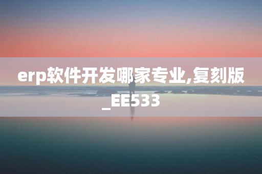 erp软件开发哪家专业,复刻版_EE533