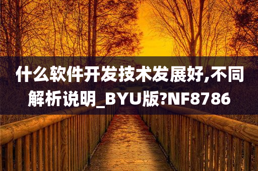 什么软件开发技术发展好,不同解析说明_BYU版?NF8786