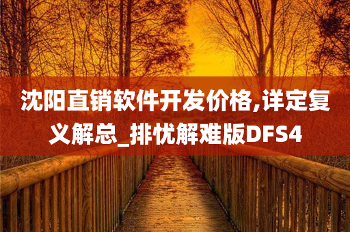 沈阳直销软件开发价格,详定复义解总_排忧解难版DFS4