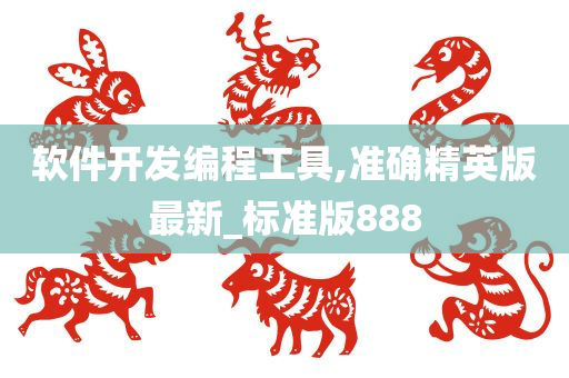 软件开发编程工具,准确精英版最新_标准版888